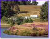 Looking back towards the secluded site